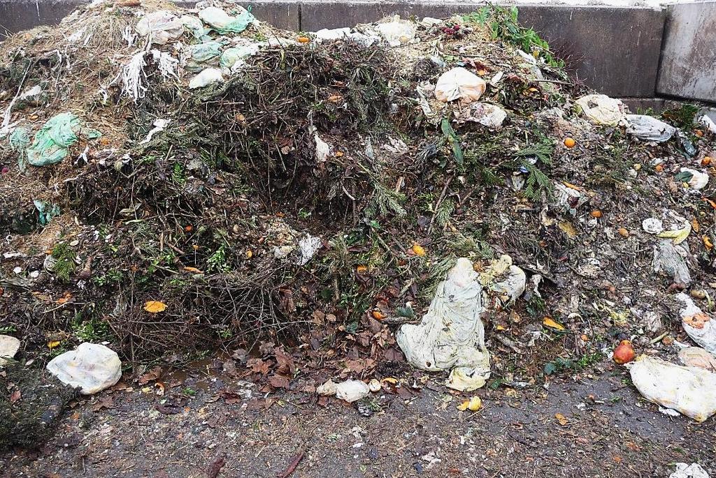 Abbildung 10: Kompostierbare Papiertüte/Zeitung Nicht kompostierbare Kunststofftüte Kunststofftüte Anlieferungen bei der Kompostierungsanlage SICA; die identifizierbaren kompostierbaren Sammeltüten