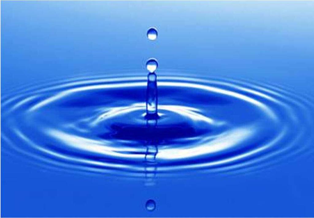 Feuchtigkeit Wasser ist die Grundlage allen Lebens auch für Schimmelpilze Pro Person 2,5 l/d für