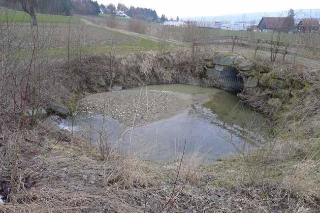Entnahmemengen Geschiebesammler Gewässer: Eiholdernbach Gemeinde: Römerswil Koordinaten: 663 666/ 223'341 Baujahr 2008