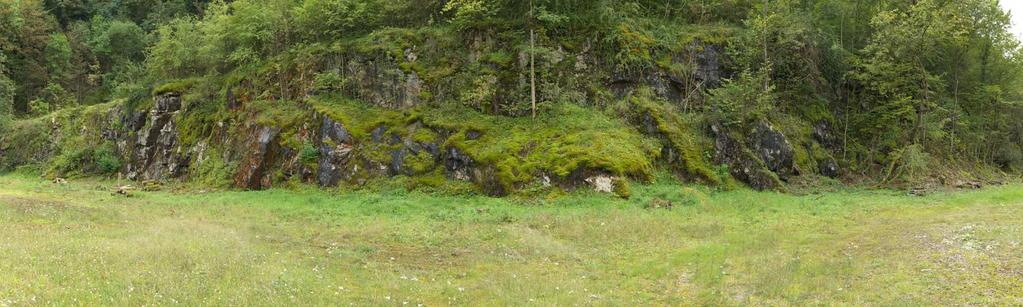 Die ehemaligen Kalkabbaugebiete mit Steilfelsbereichen und freiliegenden Felblöcken stellen ein wichtiges Habitat für Moose und Flechten dar.
