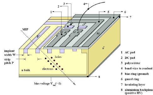 Silicon-Detektoren Streifendetektor mit Gate-Ringen Pixel Detektoren: CMS: 100 x 150 μm Streifendetektoren: Abstand Streifen: Pitch ~ 100 μm
