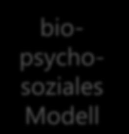 Das BEI_NRW steht für UN- BRK BTHG ICF Partizipation biopsychosoziales Modell Prozess Beratung Personbezogene Daten Übersicht und Erhebung anderer