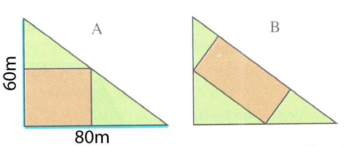 Stufe III Problem 3 Bau einer Lagerhalle Auf einem dreieckigen Grundstück, soll eine rechteckige Lagerhalle gebaut werden.