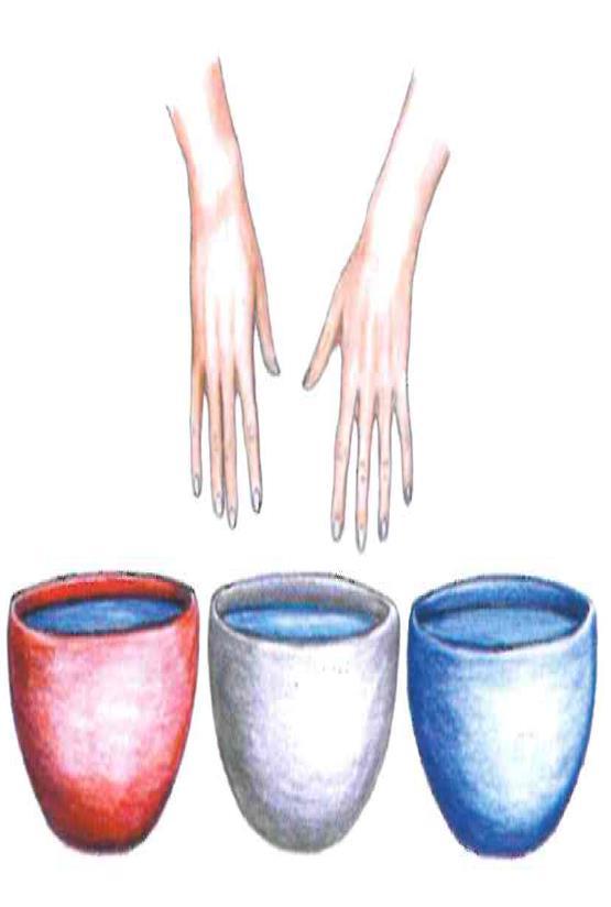 Wärmewahrnehmung als relative Messung Lauwarmes Wasser fühlt sich an beiden Händen unterschiedlich an, wenn die eine Hand