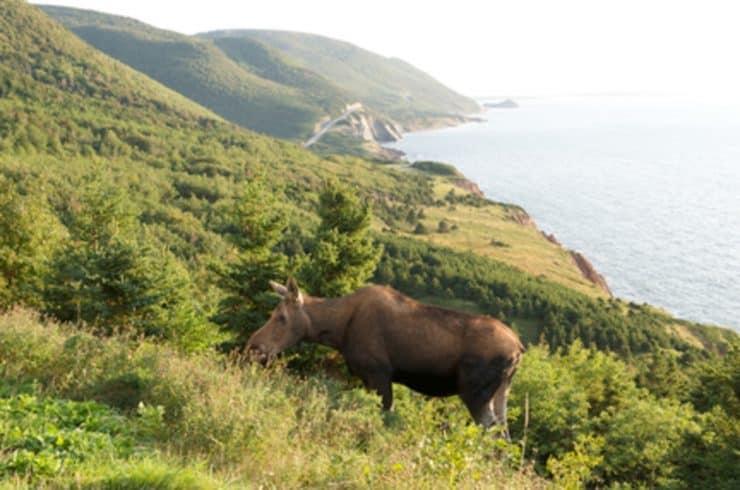 Cabot Trail,