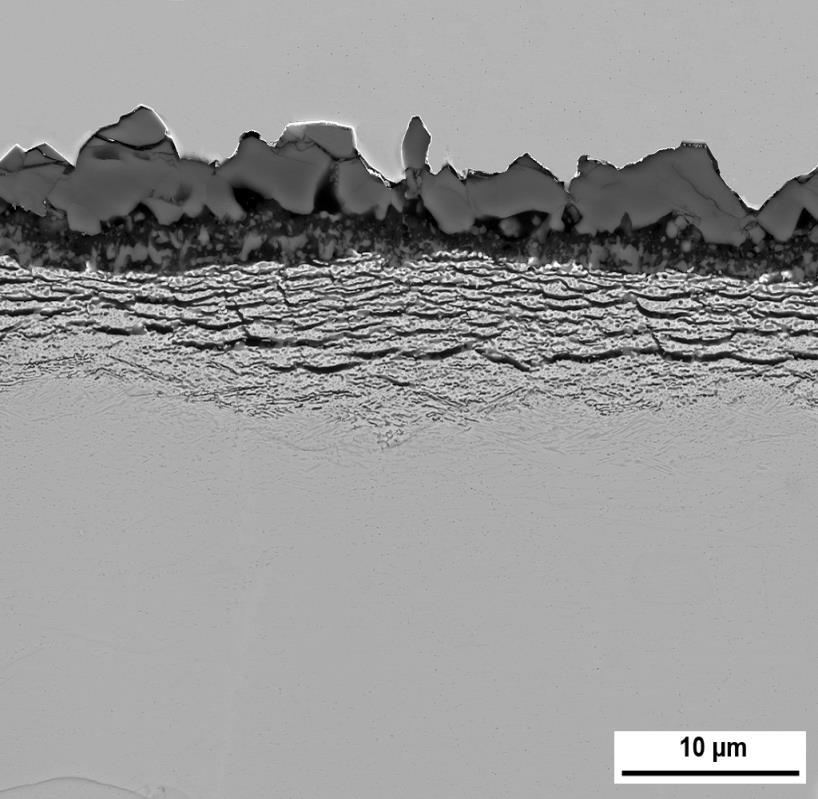 TiO 2 SiO 2 -TiO 2 innere Oxidation SEM (BSE) Aufnahme Gewichtszunahme