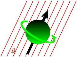 Das Neutron Spin ½ Teilchen Ladung = 0 Dipolmoment: n N n / e m e /m p = 1/2000 e 1.