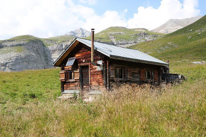 Trotz den anhaltenden heissen Temperaturen und der Trockenheit im Flachland, gibt es auf der Alp noch genügend Wasser und Futter für die Herde.