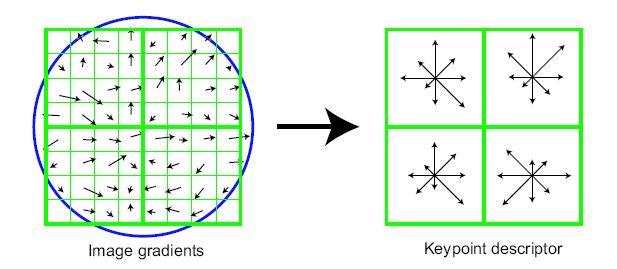 3. Scale Invariant Feature Transform 24 Abbildung 3.7.: Auf der linken Seite sind die Gradienten in der lokalen Umgebung eines Schlüsselpunktes dargestellt.
