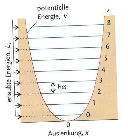 Quantisierung der Schwingungsniveaus Schwingungsniveaus mit v = 0,1,2 bezeichnet (ganzzahlig!) Die Energieniveaus eine harmonischen Oszillators liegen in einem gleichmäßigen Abstand von h*f vor.