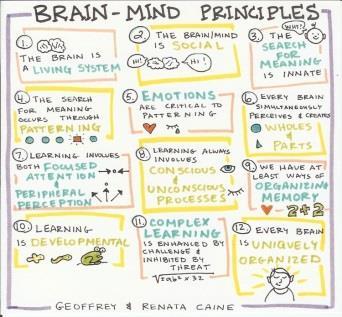 Parts of the brain The 12 principles of learning by Caine: Information to 12 principles