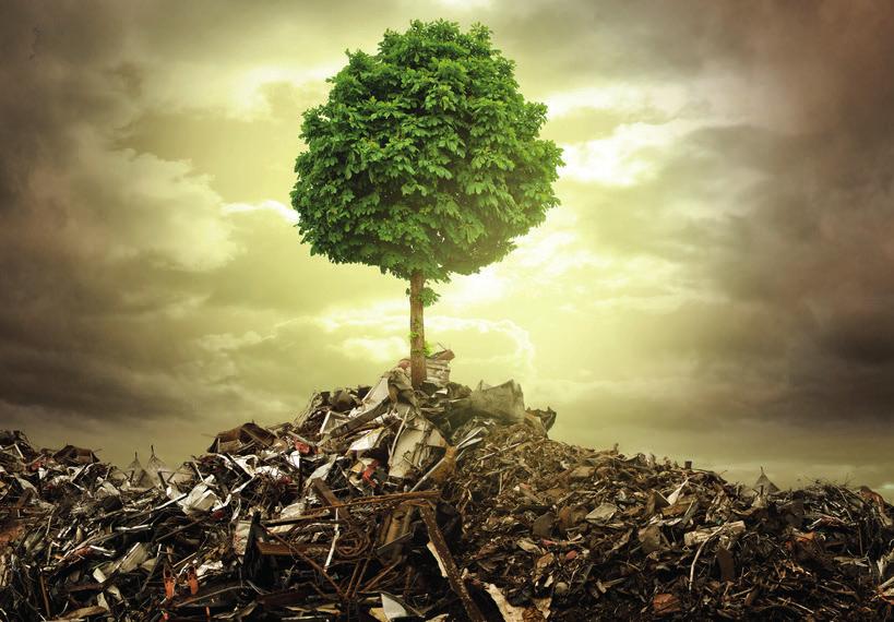 Fachbereich Umwelt & Recycling Fachbereich Umwelt & Recycling Abfallrechtliche Einstufung von Metallen Ein die Branche schon seit vielen Jahren beschäftigendes Thema ist die abfallrechtliche