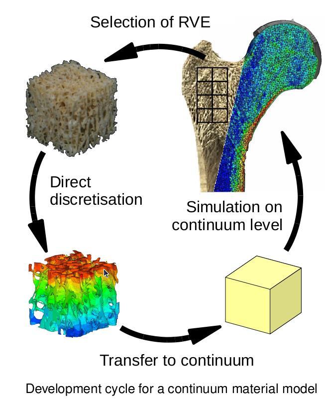 Praktischer Benchmark: Bones Materialwissenschaft Simulation des Aufbaus von krebsartigen Knochen Basis: CT-Daten