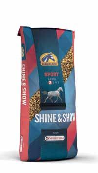Wo Leistung und Schönheit zusammenfinden Cavalor Shine & Show ist ein einzigartiges Futter, das für Pferde entwickelt wurde, die im Scheinwerferlicht glänzen und herausragen sollen, wie arabische