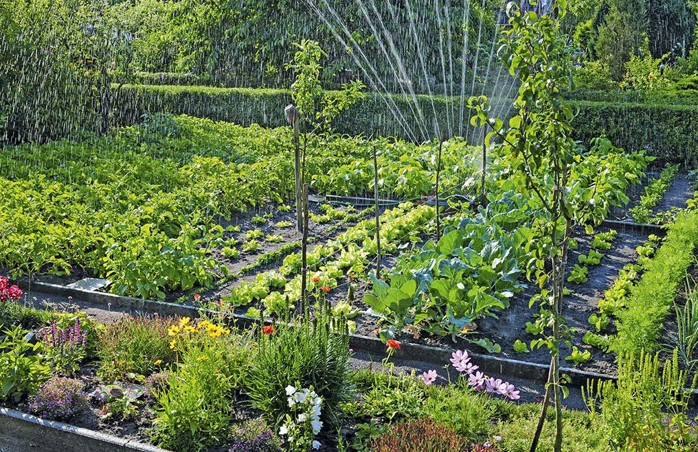 EINACHSSCHLEPPER 400 Ideal für Privatanwender mit kleinen Gärten und Grundstücken.