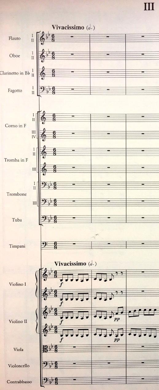 Die 2.Sinfonie von Sibelius Wusstest du, dass der Dirigent alle Instrumente auf seinen Noten sieht? Er hat eine Partitur vor sich. Dort stehen die Instrumentengruppen untereinander.