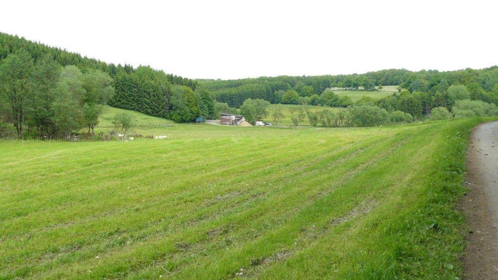 Situation in Wilgersdorf/ Weißbachtal Agrarstruktur Stark landwirtschaftlich geprägt Flächenbewirtschaftung durch verschiedene landwirtschaftliche Betriebe Hoher Pachtflächenanteil Kleine