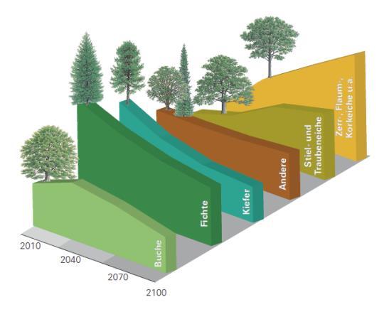Auswirkungen auf den Wald Negativ: Veränderung der Standortseignung Vorhersage für