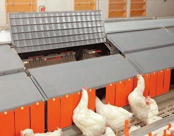 dass Hennen im Nest übernachten bzw. brüten. Die dazugehörige Kotgrube mit Kunststoffrosten verbessert die Hygiene im Stall, da ein großer Teil der Exkremente dort anfällt und gelagert wird.