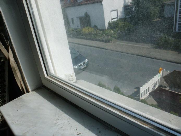 Beispielobjekt Fenster, Türen Fenster: Baujahr: 1988