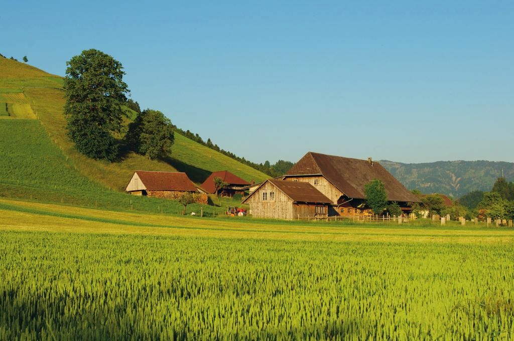 KIP-Richtlinien für den ökologischen Leistungsnachweis (ÖLN) Die Koordinationsgruppe Richtlinien Tessin und Deutschschweiz (KIP) hat mit Unterstützung der AGRIDEA Lindau, der Schweizerischen