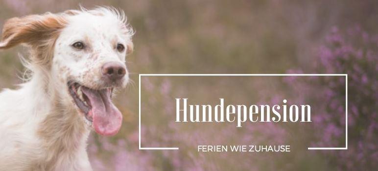 Vertrag zur zeitweisen Unterbringung und Betreuung von Hunden Vertragspartner sind: Therese Schinker Hauptstraße 139 90562 Heroldsberg im Folgenden Tierpension genannt - und - im