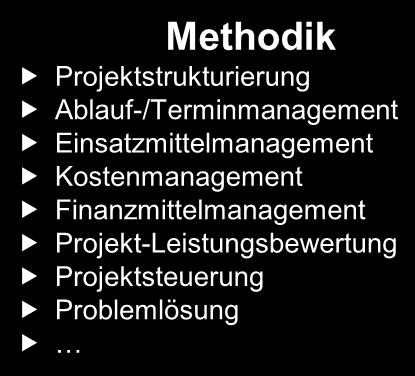 Projektmanagement-Kompetenz Organisation Unternehmens-/Projektorganisation Projektstart Risikomanagement