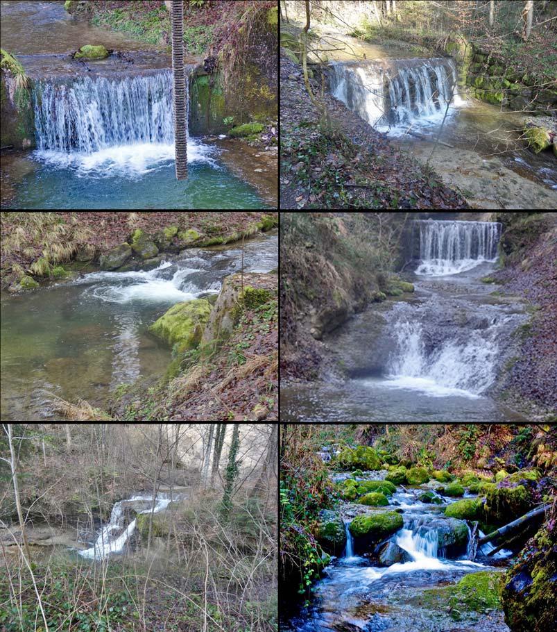 Die Wasserfälle im Wildbach- und Chämptner Tobel sind ein Eldorado.