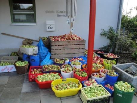 Die gesammelten Äpfel werden von unserem Getränkelieferanten Firma Fruchtsäfte Danner mitgenommen.