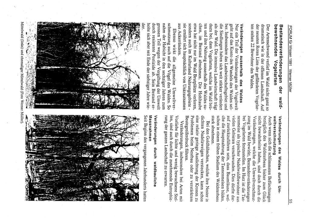 ı=orum für wissen 1991 vvemer Müller g l 55 Bestandesveränderungen der waldbewohnenden Vogelarten Der Artenschwund verlief im Wald nicht ganz so dramatisch wie in der offenen Landschaft.