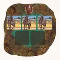 Es wird im Uhrzeigersinn gespielt. Der Ranger, der am Zug ist, legt aus seinem Reservat mehrere gleichartige Tiere ODER mehrere verschiedenartige Tiere vor sich auf den Tisch.