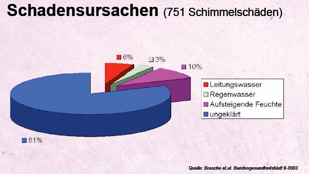 Studie der Friedrich-Schiller-Universität Jena In 1.213 Wohnungen gab es 1.
