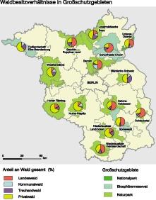 Die flächenmäßig größte Eigentumskategorie im Land Brandenburg ist der Privatwald. Etwa 500.000 ha Waldfläche gehören knapp 100.000 Einzeleigentümern.