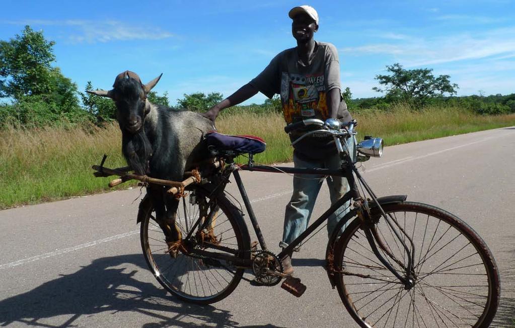 Dezember 2011 Sambia, 7515Km Kamau auf dem Weg zum Markt nach Mosambik; eine knappe Tagesreise entfernt, wie er lächelnd erzählt 01 02 03 04 05 06 07 08 09