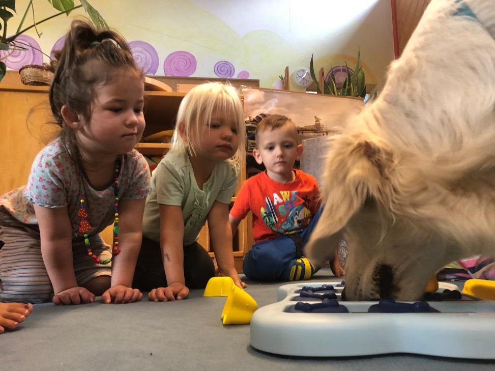 liegt er verschlafen daneben oder die Kinder gestalten für