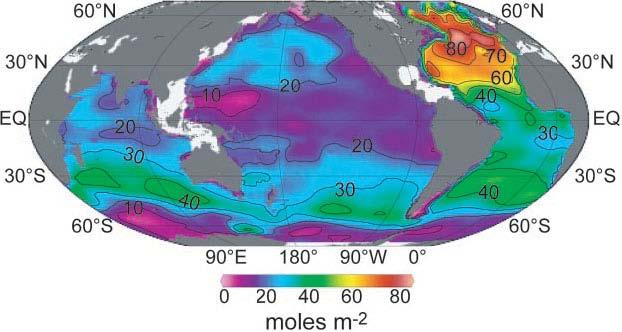 CO 2 -Aufnahme im Ozean Aufnahme von anthropogenem