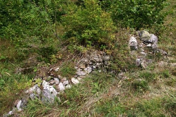 5 Reich strukturierter Steinhaufen mit Vegetation (Foto: P. Graf) Nr.