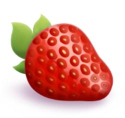 Ist die Erdbeere zum Beispiel rot und reif genug, um gepflückt und verzehrt zu werden?