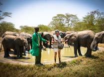 Auf diese Weise wird die Bevölkerung am Artenschutz-Projekt beteiligt und sieht Elefanten nicht länger als Gegner an.
