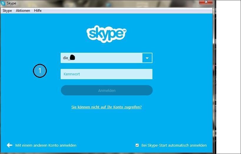 Start Sobald Sie Skype auf Ihrem Computer starten, müssen Sie sich zunächst mit Ihrem Nutzernamen und Passwort anmelden.