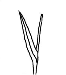 C 2 Lathyrus Blatt 9 Blätter paarig gefiedert, mit und ohne Endranke, Stängel geflügelt von Blatt 3 Ausnahme:ohne Ranke Ausnahme:ohne Ranke Stängel ± ungeflügelt Blätter einzeln, Blätter paarig