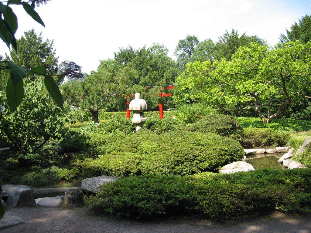 Seine Anfänge nahm der Garten, als ein Karlsruher Arzt Pflanzensamen und eine Steinlaterne von einer Japanreise mitbrachte.
