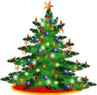 Um dies zu ermöglichen, wollen wir auch in diesem Jahr einen Weihnachtswunschbaum im Rathaus aufstellen. Für wen ist die Aktion?