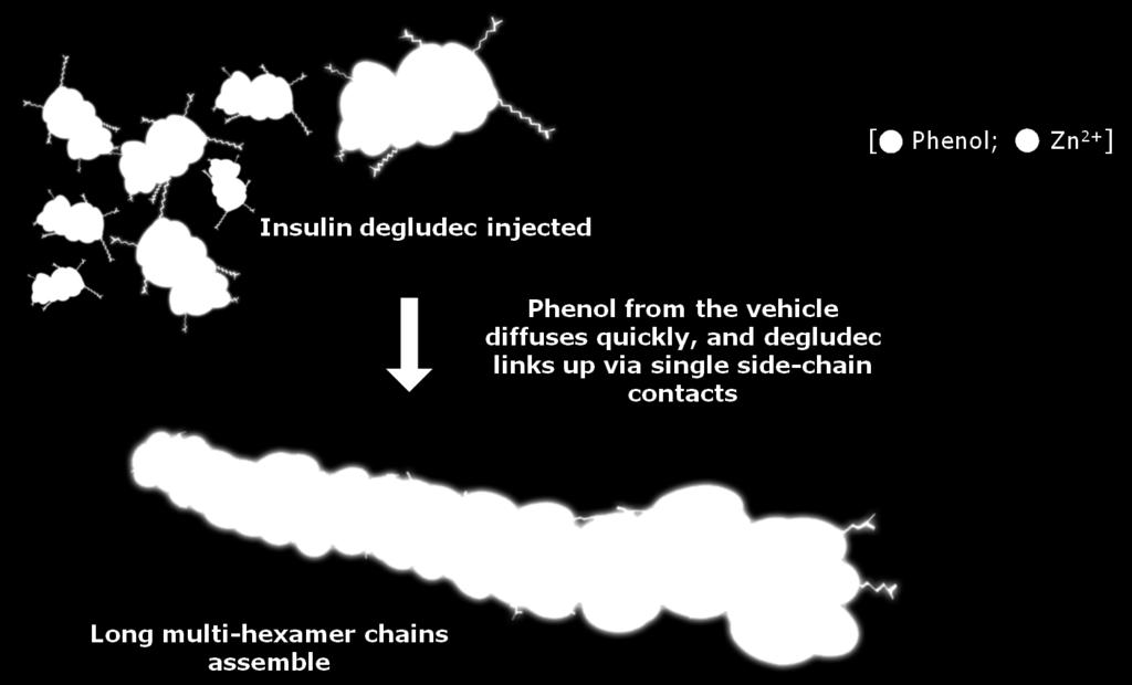 Tresiba - Degludec Jonassen et al.