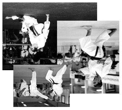 Deutscher Karate Verband e.v.