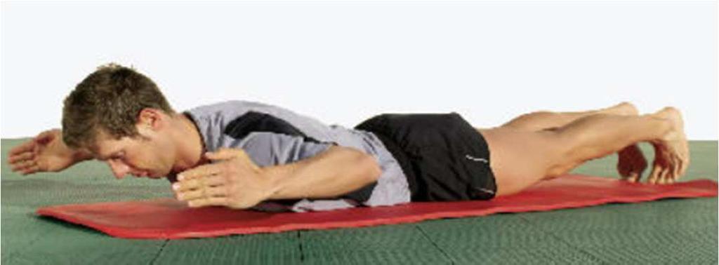 Übung 1 Rumpfstabilität Basisübung Rücken Mit dieser Basis-Übung trainieren Sie die gerade Rücken- und die Zwischenschulterblatt-Muskulatur.