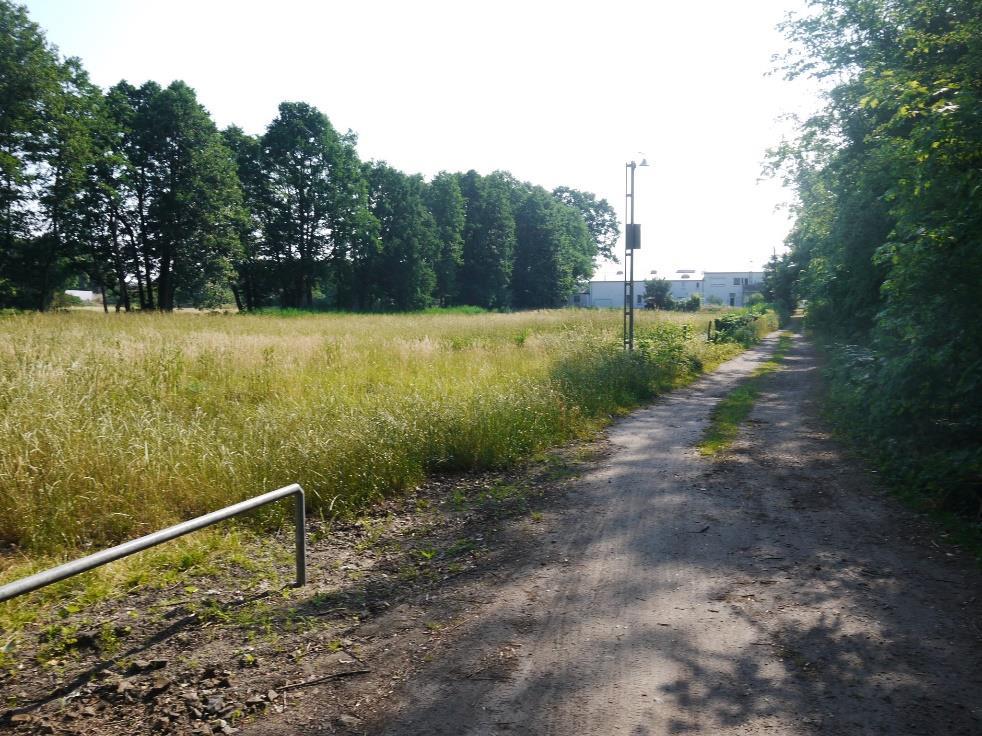 Foto 5 Blick von SW nach NO über die Gesamtfläche.