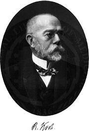 Geschichte der Bakteriologie Robert Koch (1843 1910) sucht als erster systematisch nach Mikroorganismen die Krankheiten auslösen Beweis der Ätiologie der Tuberkulose (Mycobacterium tuberculosis)