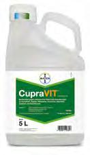 FUNGIZID Cleverer Schutz für VITale Reben. Ist äußerst kontaktfreudig und wirkt vorbeugend gegen Pilz- und Bakterieninfektionen: Cupravit.