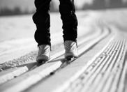 Langlaufen Egal, ob Sie zum ersten Mal auf Skiern stehen oder schon länger Langlaufen. Hier können Sie mit anderen trainieren. Wohin es geht, hängt von der Schneelage ab. Sonntag, 13.
